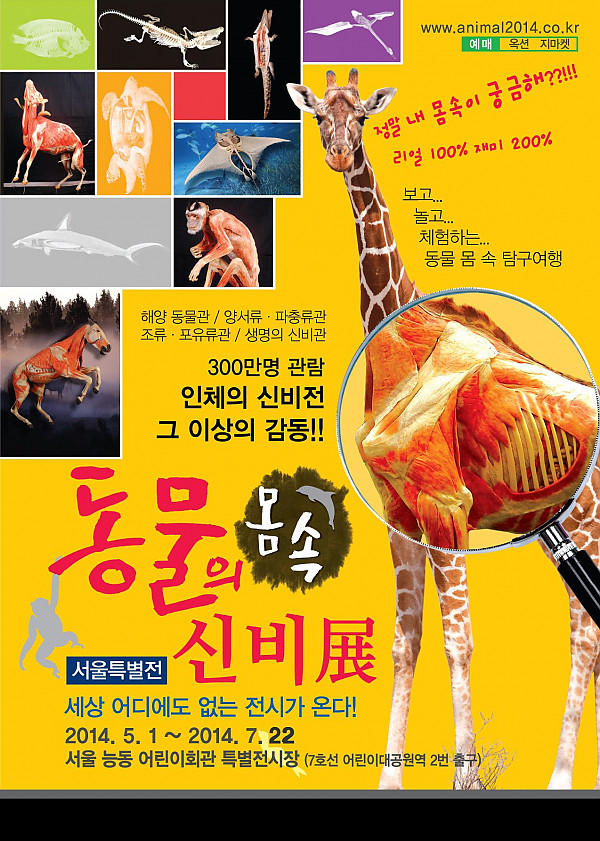 동물의신비-A4전단.jpg