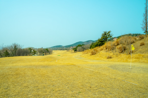 dfa45d7e121b6ffef23da504a69728a6_1774014585_5494.jpg